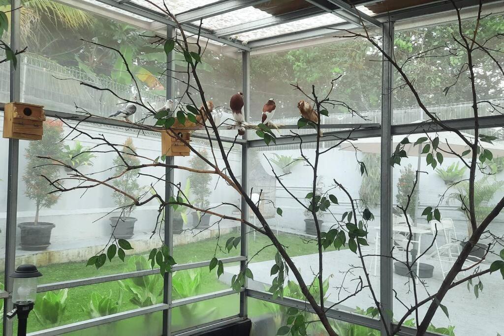Garden Villa By Villapedia Bogor Exteriér fotografie